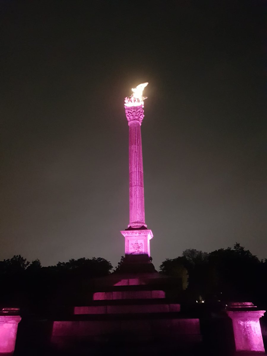 Swords Castle and The Pheonix Monument look amazing this evening, shining a light on #DLDday 💜💛 <a href="/SwordsCastle1/">Swords Castle</a> <a href="/phoenixparkOPW/">Phoenix Park</a> <a href="/opwireland/">Office of Public Works</a> <a href="/RADLDcam/">RADLDcampaign</a> <a href="/iaslt/">IASLT</a> #DevLangDis <a href="/AccidentalAdvo1/">AccidentalAdvocate</a> @aoifelilyg1