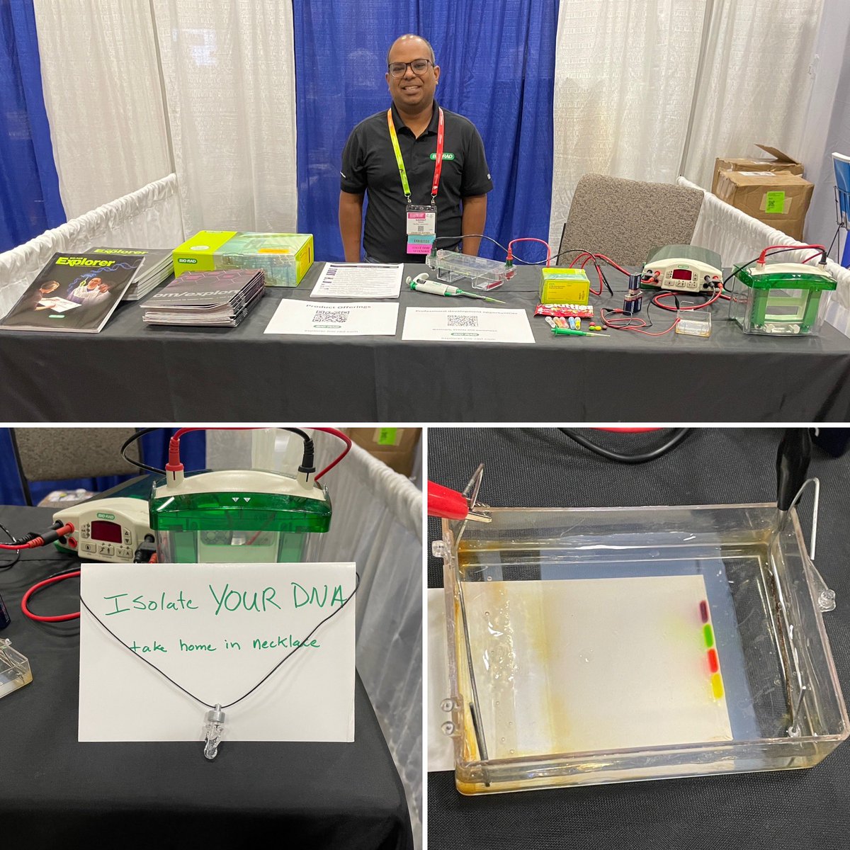 Damon_BioRad's tweet photo. Come isolate your own DNA and chat with us about modern biology at booth 219.

Also join us for editing a genome, hands-on with CRISPR using the Out of the Blue CRISPR kit, tomorrow at 9:30 am in Sierra room.

#biotechedu #biologyeducation #biologyteaching @BioRadEducation https://t.co/Wgoe31FRXK
