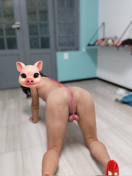 Cuerpo de jotita 🥰🐞 https://t.co/jOsWJl22qq