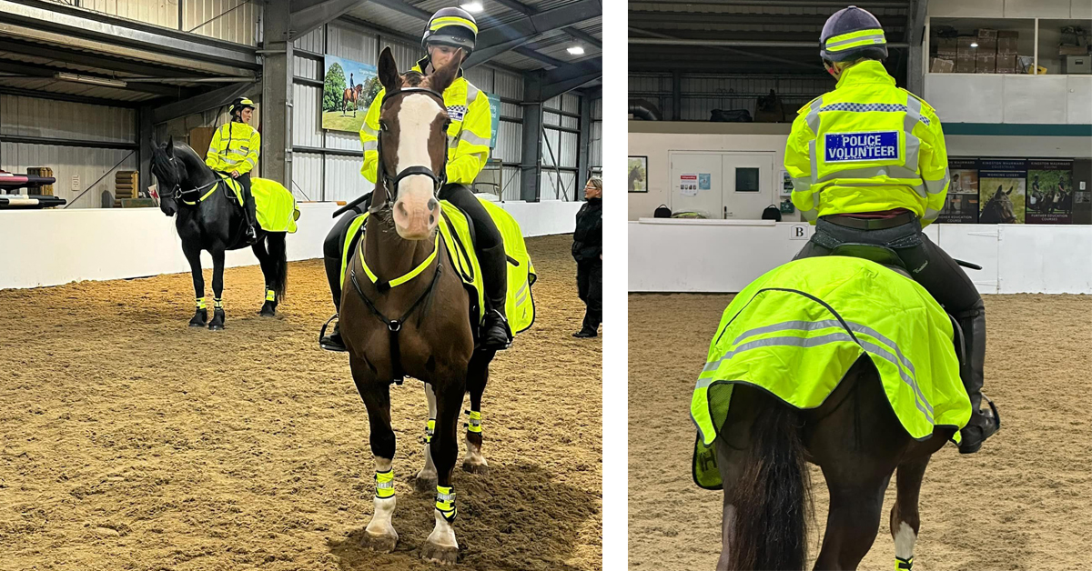 Patrolling the Countryside with Equine Crime-Fighters:
Rural UK police forces have had the ingenious idea of asking riders to volunteer to keep an eye out for suspicious activity when out hacking. #crimefighting #mountedpatrols #seesomethingsaysomething 
horse-canada.com/horse-news/pat…