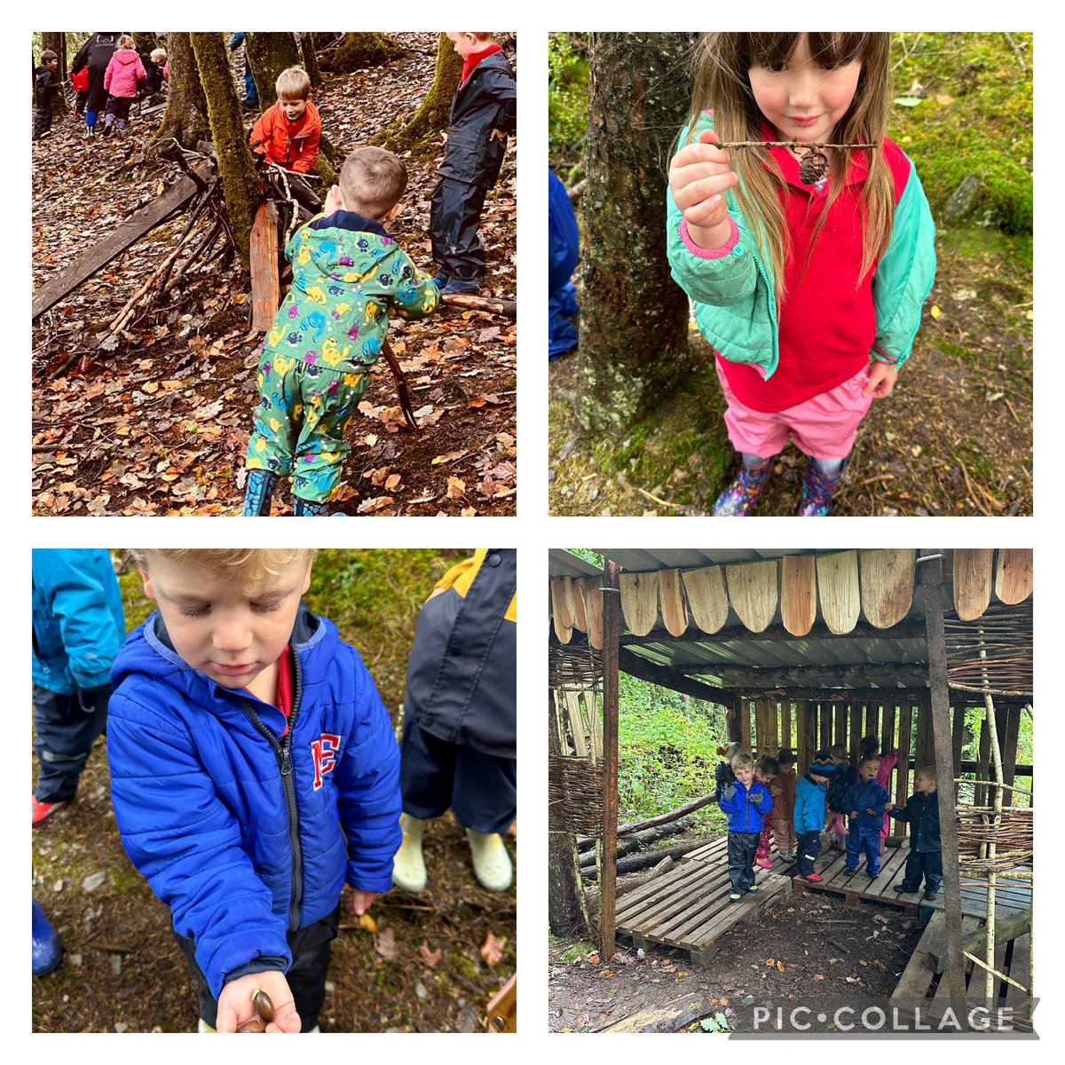 YsgolNant's tweet image. Plant Tywi a Cothi wedi mwynhau y profiad o weithio yn yr awyr agored yn Goedwig Brechfa #awyriach #lles