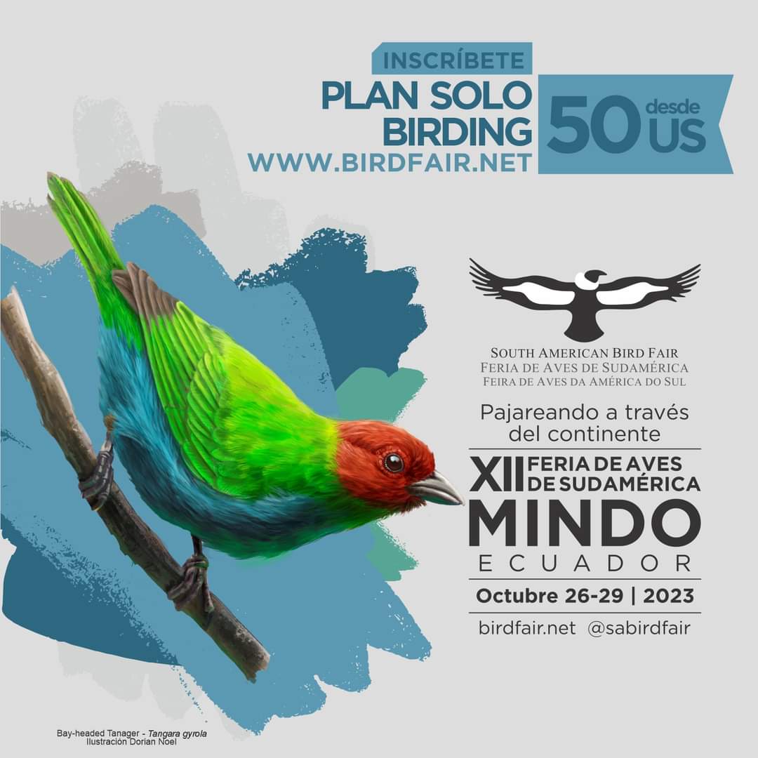 sabirdfair's tweet photo. ¡Atención Amantes de las Aves!

Las inscripciones para la XII Feria de Aves de Sudamérica en Mindo, se cierran desde nuestra página web el sábado 21 de octubre al mediodía.

¡Regístrate AHORA y asegura tu lugar en la feria!
👉🏼https://t.co/eVoyNYneW5 https://t.co/YEehyDu94r