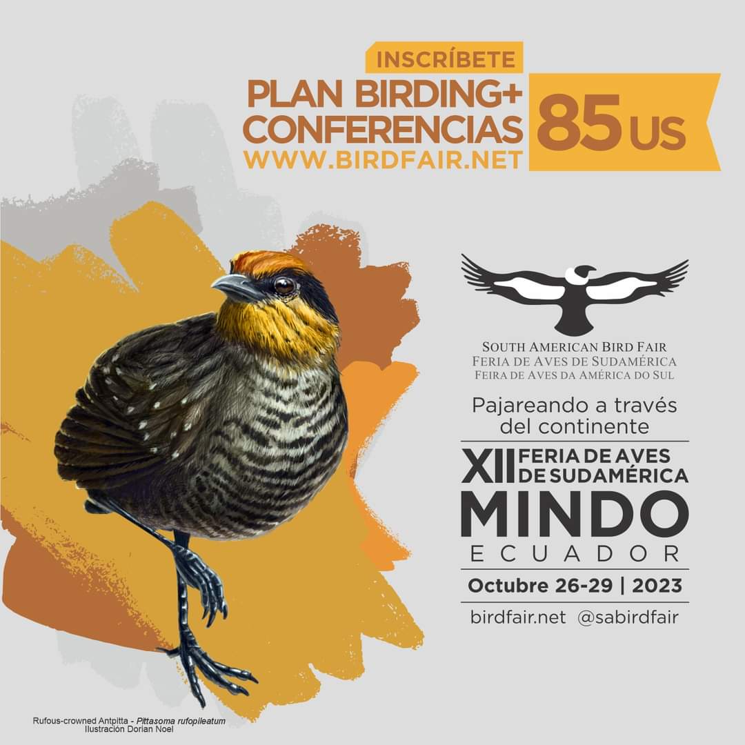 sabirdfair's tweet photo. ¡Atención Amantes de las Aves!

Las inscripciones para la XII Feria de Aves de Sudamérica en Mindo, se cierran desde nuestra página web el sábado 21 de octubre al mediodía.

¡Regístrate AHORA y asegura tu lugar en la feria!
👉🏼https://t.co/eVoyNYneW5 https://t.co/YEehyDu94r