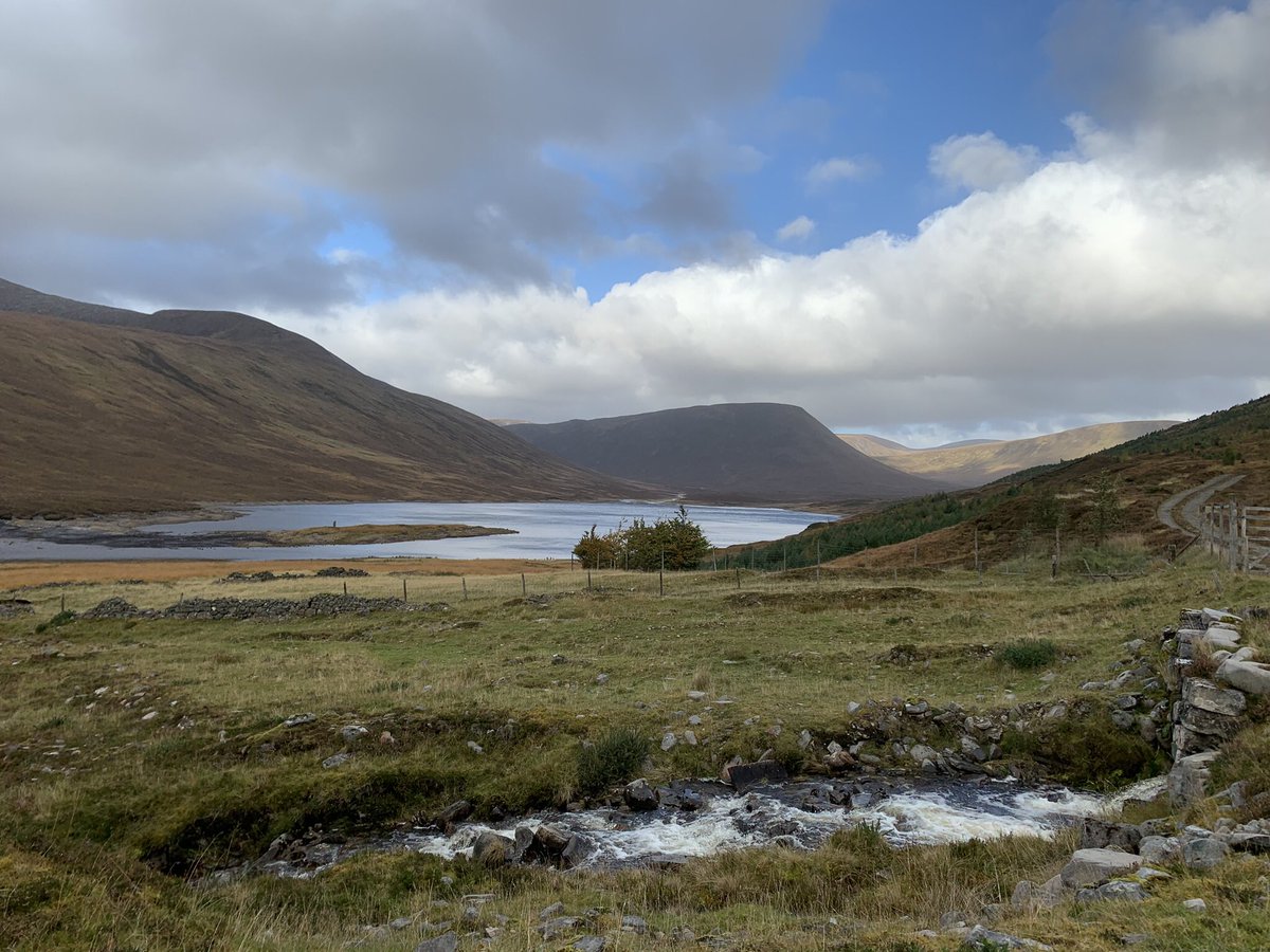 paulinedaniels's tweet photo. My photo of the day..!
It’s been so wet and windy… then the sun tried to come out.,tomorrow it’s going to be torrential rain all day unfortunately as it’s my last day here for a while..
#PhotoChallenge2023October #highlandsofscotland #strathvaich https://t.co/axaAXPmm83