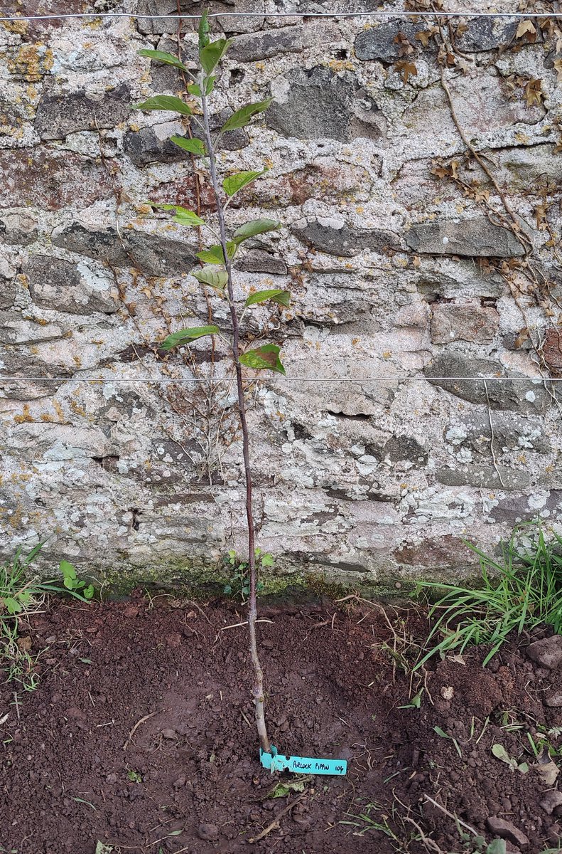 Somerset outdoor tweet media