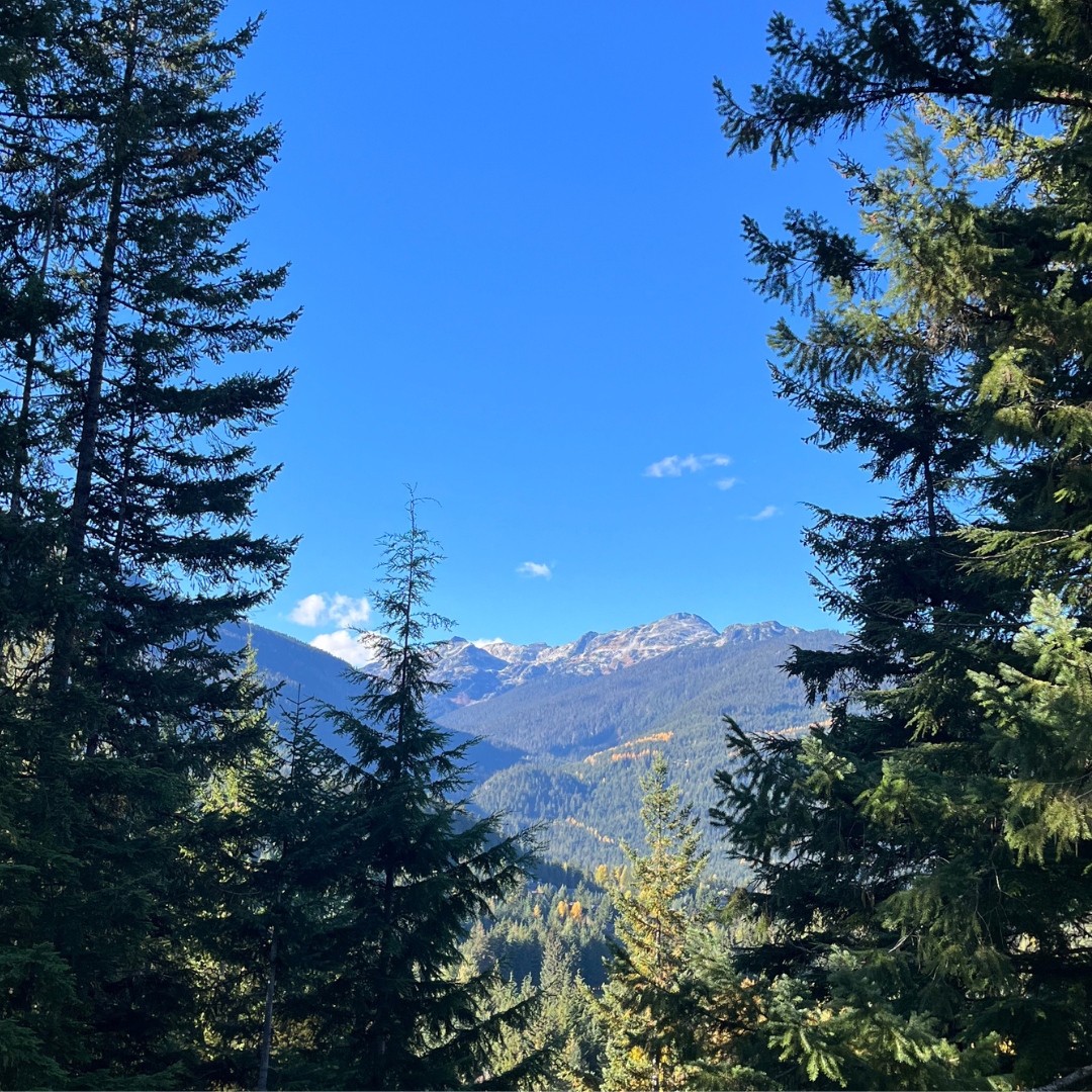 Another fantastic company retreat in the books! 🎉 Gathering our team from across the States &amp; Canada under one roof is always a special occasion.

It's the perfect chance to re-energize, refocus on our mission, and celebrate our team's extraordinary accomplishments this year. 🚀