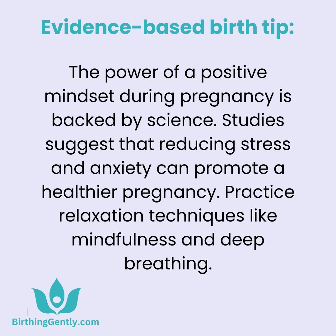 supportbirthaz's tweet photo. Breathe in. Hold. Breathe out. Hold.
Repeat after me:
🙌 I've got this.  
🧠   My body knows how to give birth.
💪 I was built for this.  
💖  I am loved and supported.
🥰  I trust my body.
💙 💚 💜 💙 💚 💜 💙 💚 💜 
 🌴 keep breathing 🌊 https://t.co/NobZOi6urL
