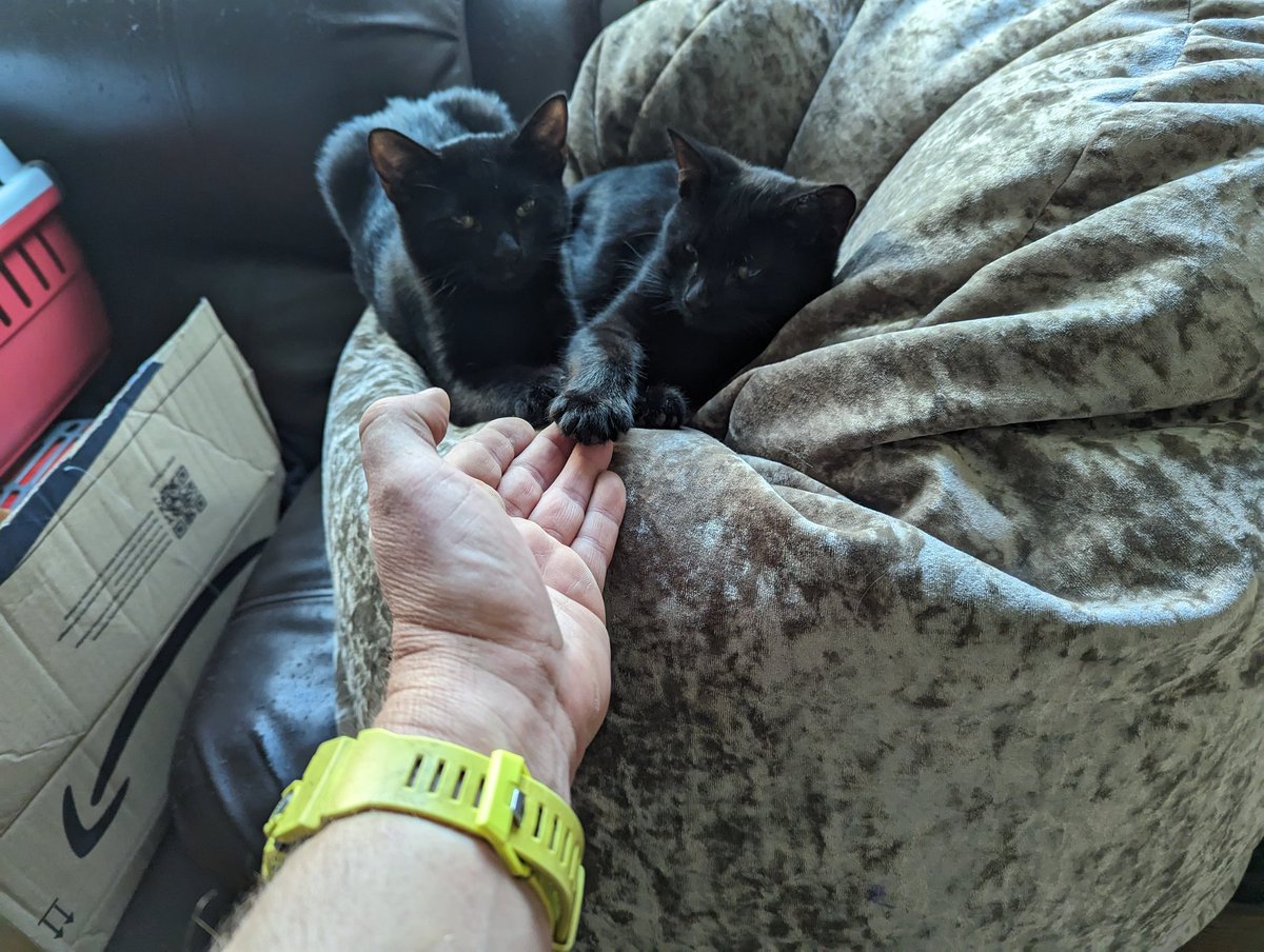 Jim Harris tweet media