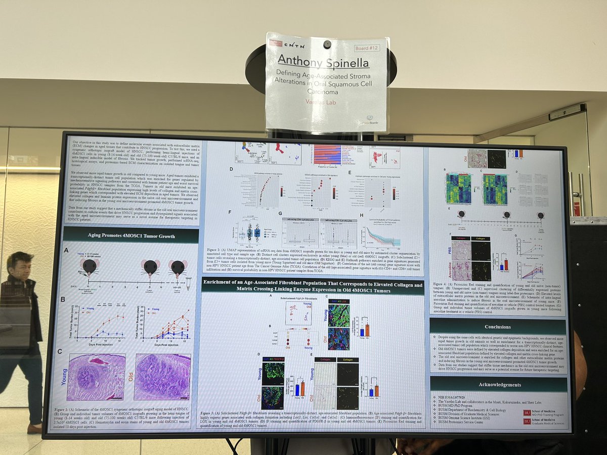 CMTM, Boston University (@bumechanobio) on Twitter photo Still can’t get over how great that poster session was! Here’s one by <a href="/anthspinella/">Anthony Spinella</a> of the @VarelasLab!
@BU_Biochemistry <a href="/BU_MDPhD/">BU MD/PhD Program</a> <a href="/BUMedicine/">Boston U Chobanian & Avedisian School of Medicine</a> <a href="/BU_GMS/">BU Graduate Medical Sciences</a> <a href="/BU_Tweets/">Boston University</a> #mechanobiology #annualsymposium2023 Still can’t get over how great that poster session was! Here’s one by <a href="/anthspinella/">Anthony Spinella</a> of the @VarelasLab!
@BU_Biochemistry <a href="/BU_MDPhD/">BU MD/PhD Program</a> <a href="/BUMedicine/">Boston U Chobanian & Avedisian School of Medicine</a> <a href="/BU_GMS/">BU Graduate Medical Sciences</a> <a href="/BU_Tweets/">Boston University</a> #mechanobiology #annualsymposium2023