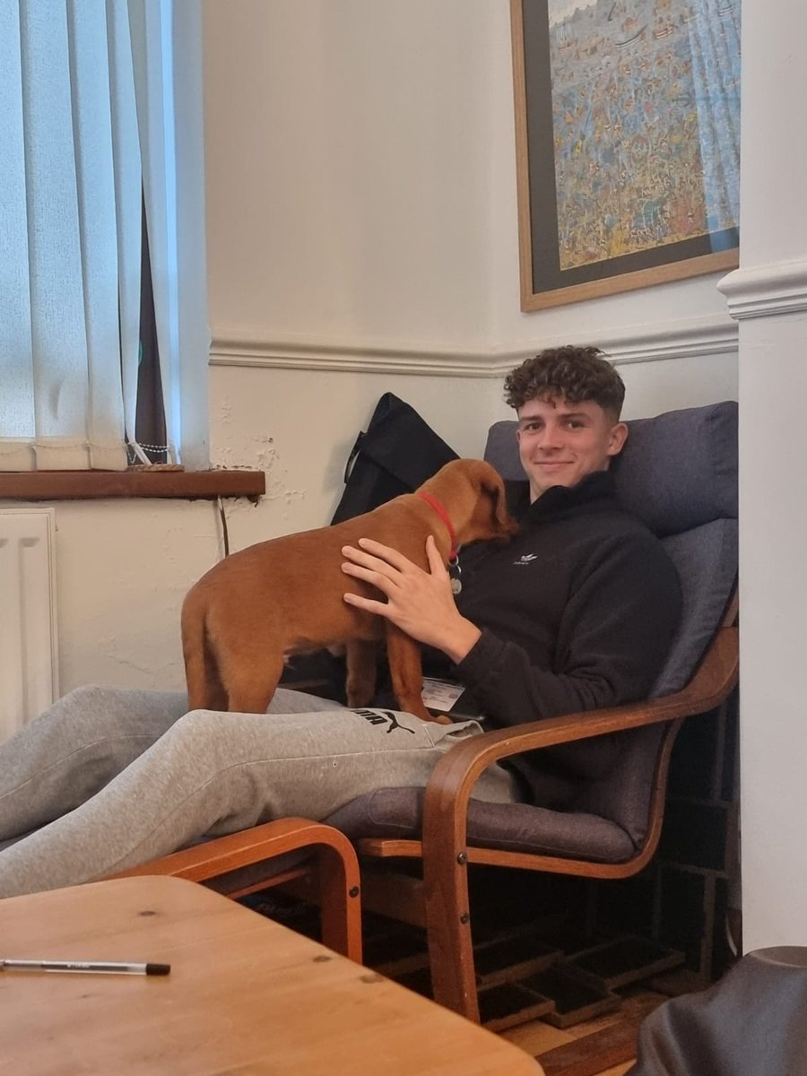 Paul Lewis tweet media