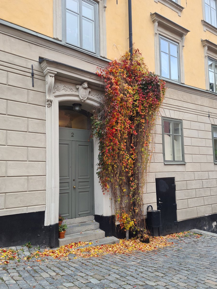 sabrightside's tweet photo. Hälsningar från Stockholm! https://t.co/wgAkuXOXDs