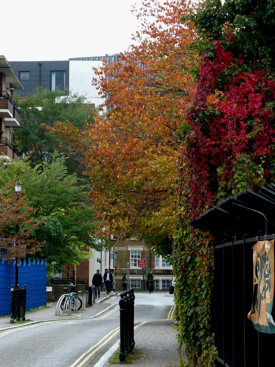 Piali Das Gupta tweet media