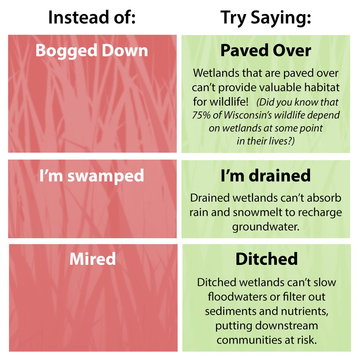 WIWetlandsAssoc's tweet photo. We've seen a version of this go around so we made our own! There is a long-standing + erroneous perception that wetlands are places to avoid, and it's perpetuated by some of the words we use. We invite you to replace them with these alternatives! https://t.co/2rMolwsbLC