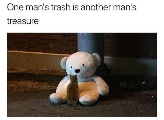 WholesomeMeme's tweet photo. https://t.co/V8S7LRVst6