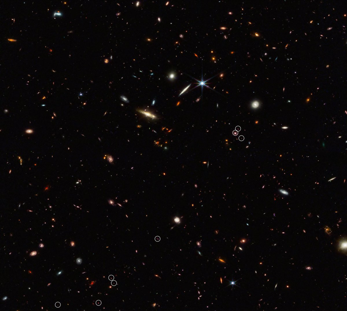 NASAWebb's tweet photo. Space is decorated for Halloween, too! 🕸️

Across the universe, galaxies form a cosmic web. They gather in monstrous clusters &amp; threads, separated by voids. Recently, Webb unraveled a thread of 10 galaxies that existed 830 million years after the big bang: https://t.co/2bAyTLSiIc https://t.co/Pf9SBcoeCx