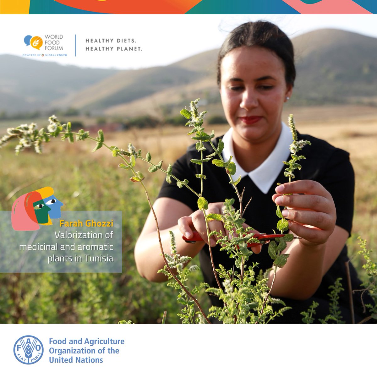 FAOInvest's tweet photo. Meet the young Tunisian agripreneurs🇹🇳 participating to the #WorldFoodForum 2023 debates on agrifood systems transformation to accelerate #climate_action 🌿

#foodheroes
@World_FoodForum https://t.co/Vh123ckx0g
