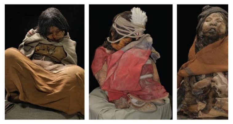 Children of Llullaillaco :

They are three Inca child mummies discovered on 1999 near the summit of Llullaillaco, 6739m stratovolcano, in Andes mountains on border between Chile and Argentina. Children were sacrificed in an Inca religious ritual, 1500 AD.

In this ritual, three…