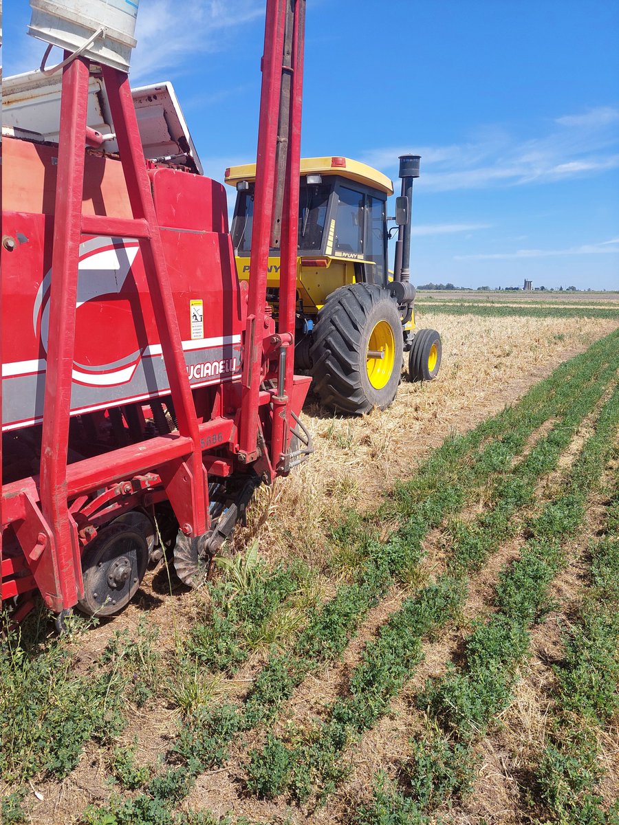 sbrestovich's tweet photo. Siembra de Maíz! Ensayo de larga duración EEA Pergamino
#grupo Gestión Ambiental 😁
Maize sowing! Rain shelters will be installed soon!
#covercrops #Csequestration #climatechange
@IntaPergamino
@EJP_TRUESOIL https://t.co/5v2gUZrzJR