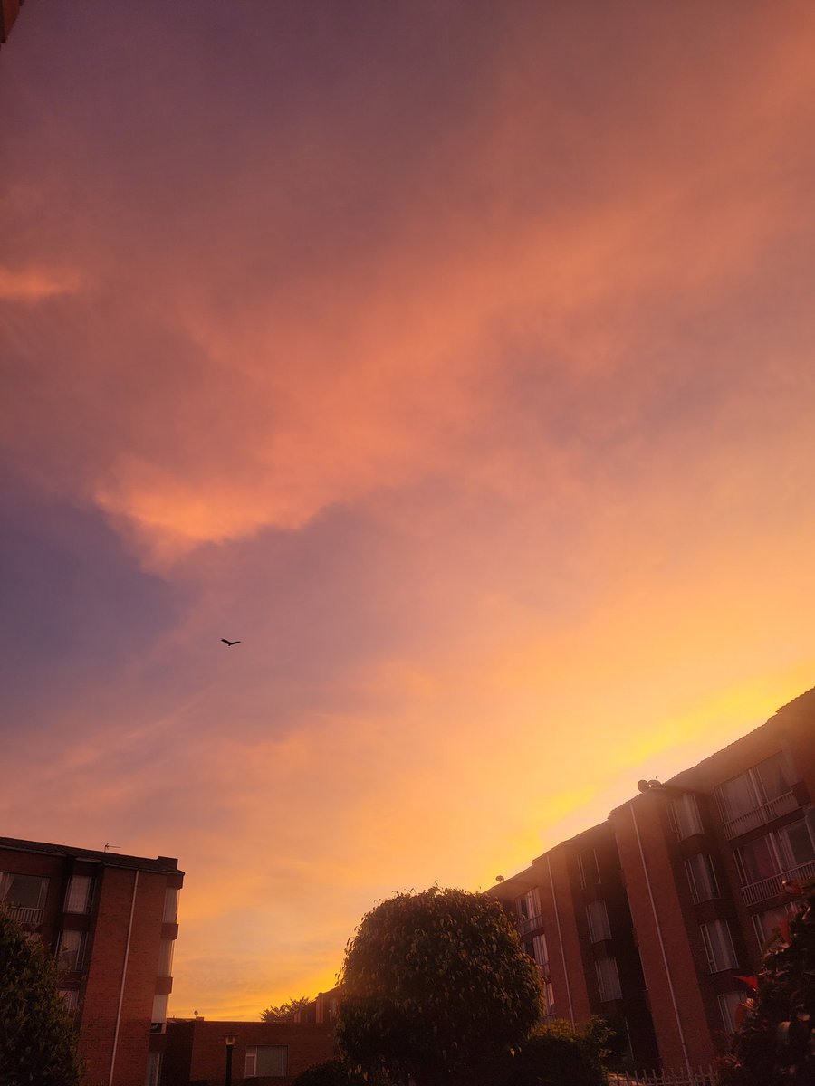 tatfor24's tweet photo. Buenos días ! Que mejor forma de iniciar el viernes💗así amanecimos de Bogotá para el mundo🤩 https://t.co/whpwugQCTs