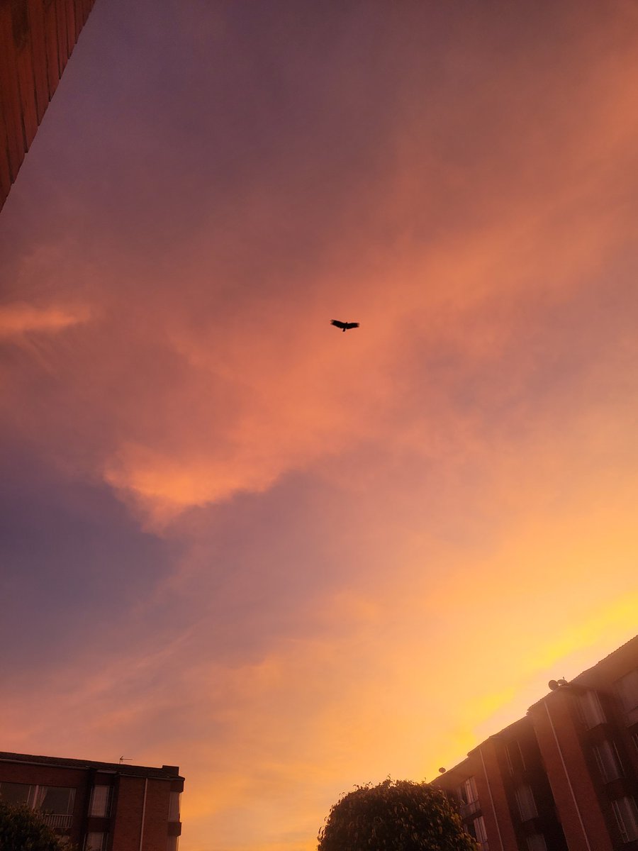 tatfor24's tweet photo. Buenos días ! Que mejor forma de iniciar el viernes💗así amanecimos de Bogotá para el mundo🤩 https://t.co/whpwugQCTs