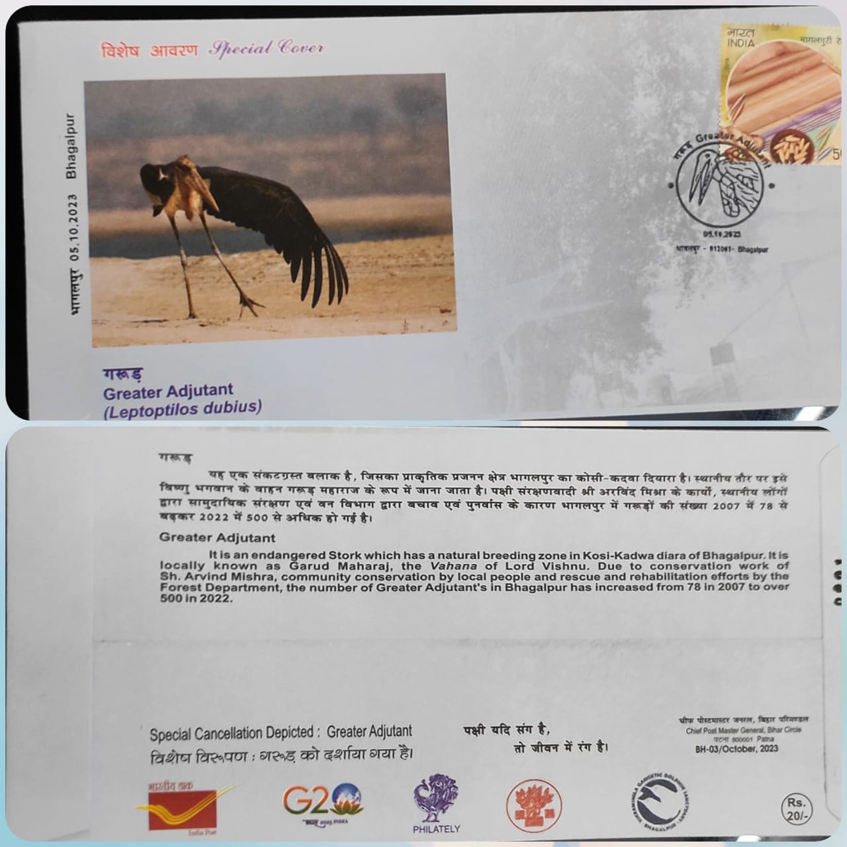 vgds_dolphin's tweet photo. On Oct 5th 2023, on the occasion of Wildlife Week, special cover with cancellation was released to celebrate the conservation of Greater Adjutant Stork in Bhagalpur.
#wildlife @DEFCCOfficial @DMbhagalpur @moefcc @cpmgbihar @NitishKumar #conservation #nature #birds @NatGeoIndia https://t.co/TPzxioweuP