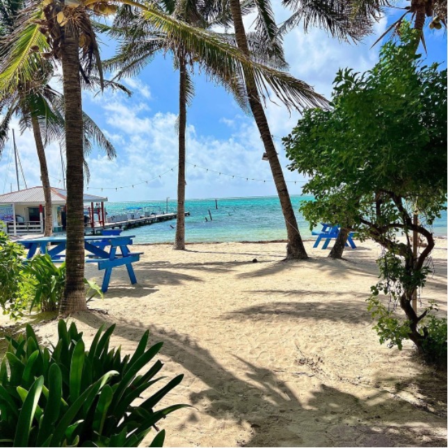 Travel Belize tweet media