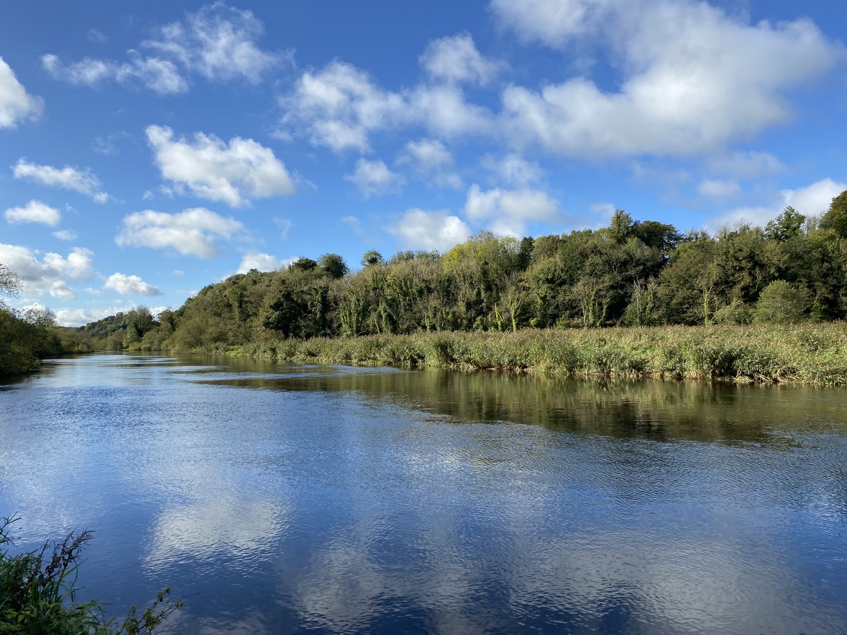 The Government of Ireland has published a first Bioeconomy Action Plan, [2023 - 2025] via @agriculture_ie & @DEPT_ECC.

7 inter-related pillars are broadly: Governance, RD&I, Nature & Climate, Biomass, Place, Industry & Skills. 

#irishbioeconomy

gov.ie/en/publication…