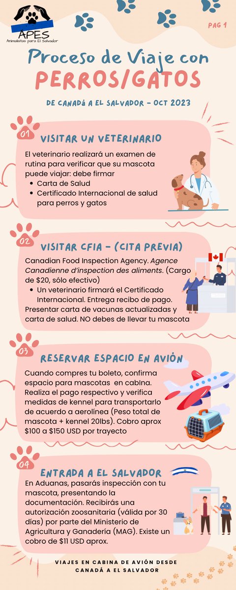 APES503's tweet image. Viajando con tus mascotas (perros o gatos) desde 🇨🇦 a 🇸🇻? toma en cuenta estas recomendaciones 

#travelingwithpets
#viajandoconperros
#diasporasalvadoreña
#animalistasdecorazon 
#Infografía  #apes503