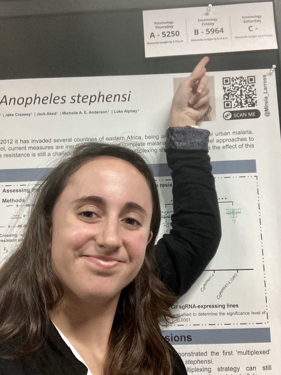 If you are at <a href="/ASTMH/">ASTMH</a> and you want to learn about multiplexing strategies in An. Stephensi, come find me at poster 5964 today in the Exhibit Hall! <a href="/AlpheyLab/">Alphey Lab</a> @TropMed23