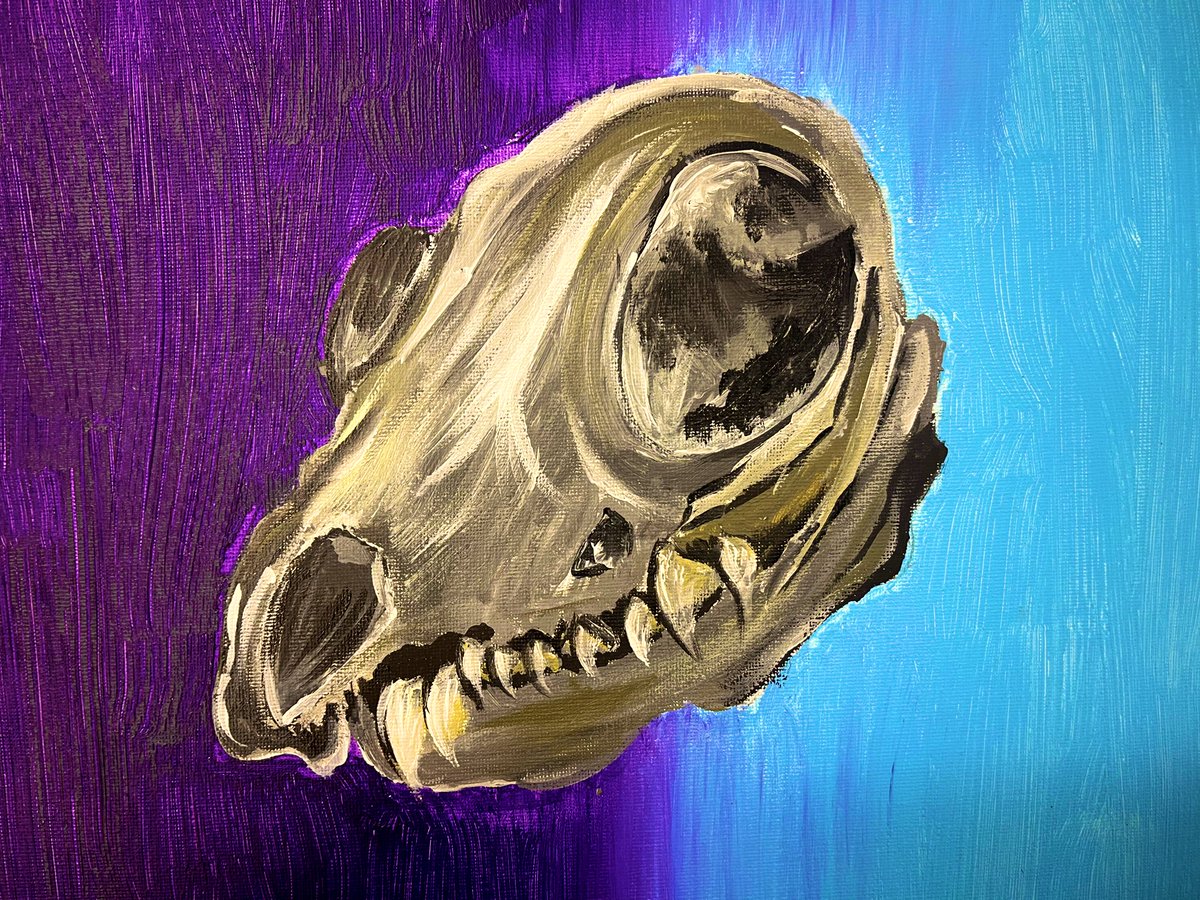 misstalbotart's tweet photo. Year 10 produced some fabulous observational studies this week! They created A3 canvasβ painting animal skulls for their natural forms project π #NaturalForms https://t.co/VVHO1YMzOt