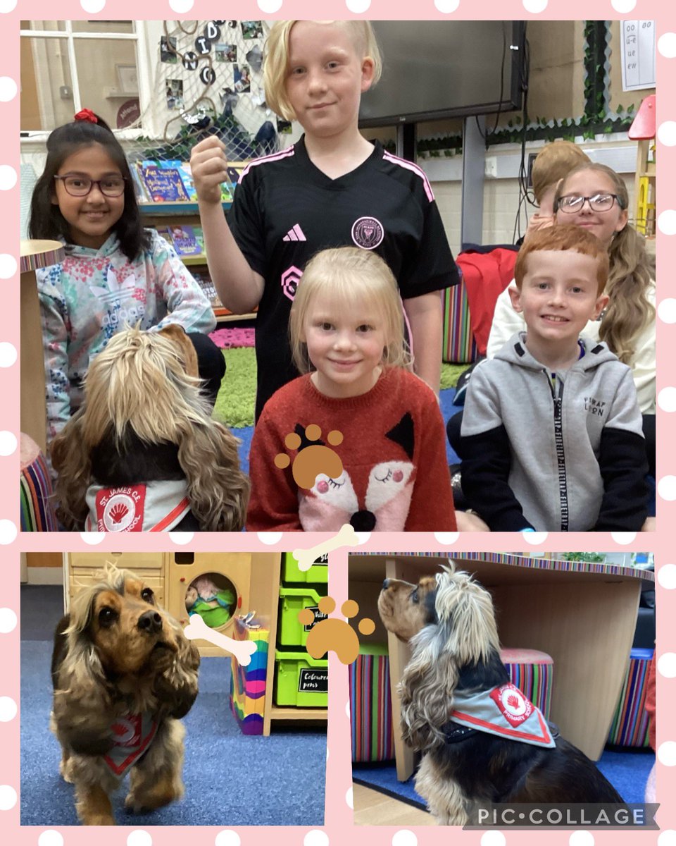 StJSeashells's tweet photo. Our after-school club children had a very special visitor this afternoon.  Maddie, our school dog, joined in with the fun before she went home 🐶🐚❤️ @StJamesCEsth https://t.co/sOIluAvYZ4