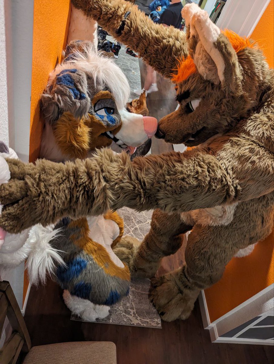 I would almost think you wanted to get pinned against the wall from the way you're looking at me, pup. #FursuitFriday

🐶: <a href="/Jakeshep418/">Jake Aussie @ Megaplex</a> 
📸: <a href="/PkDibbun/">Pk Dibbun</a>