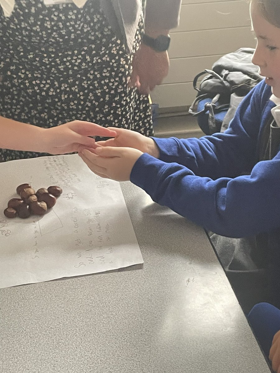 stjosephskly's tweet image. 2: some more conker games from Oak class #OakClassRules #BestDaysOfTheirLives #Nature