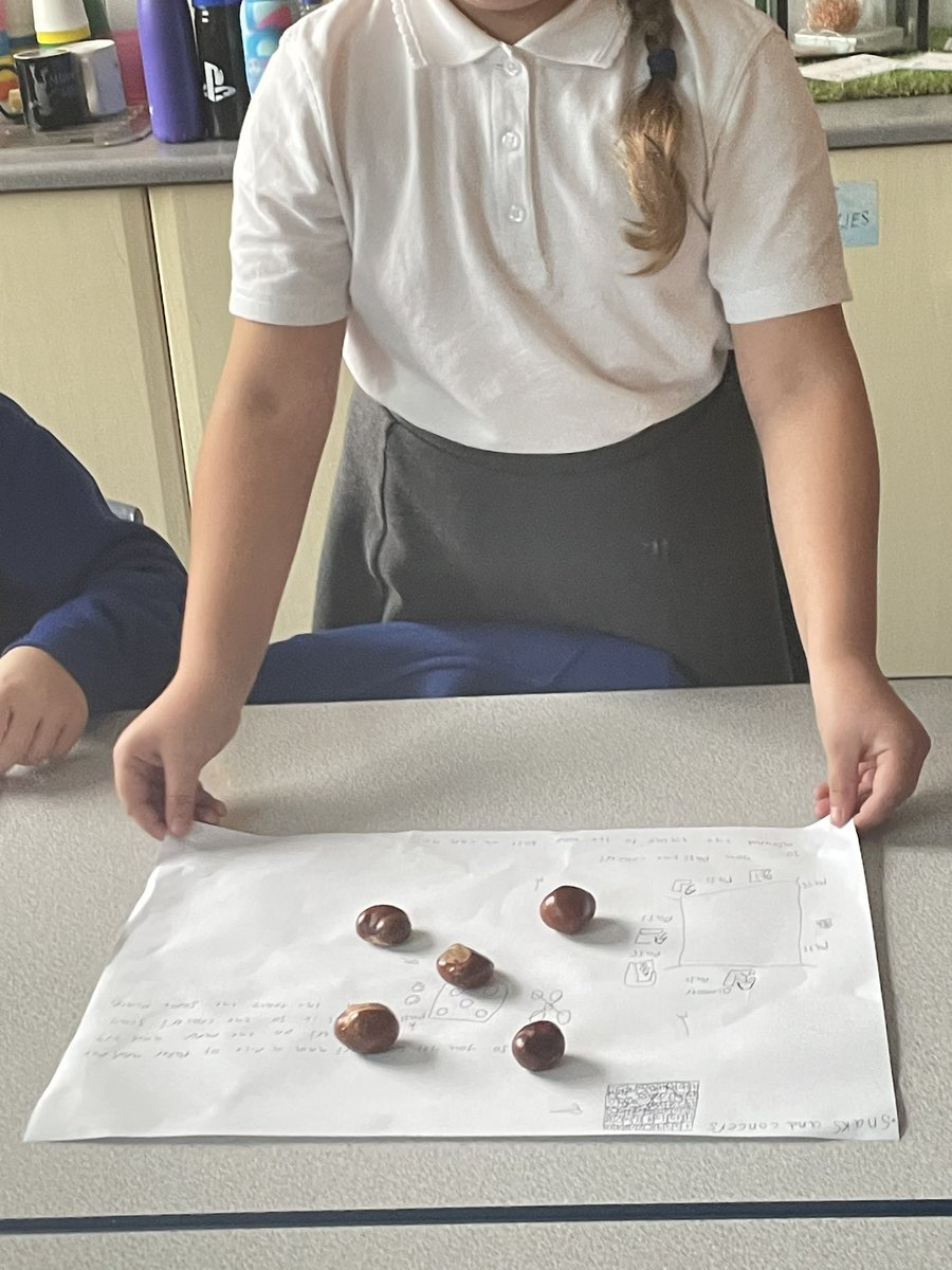 stjosephskly's tweet image. 2: some more conker games from Oak class #OakClassRules #BestDaysOfTheirLives #Nature