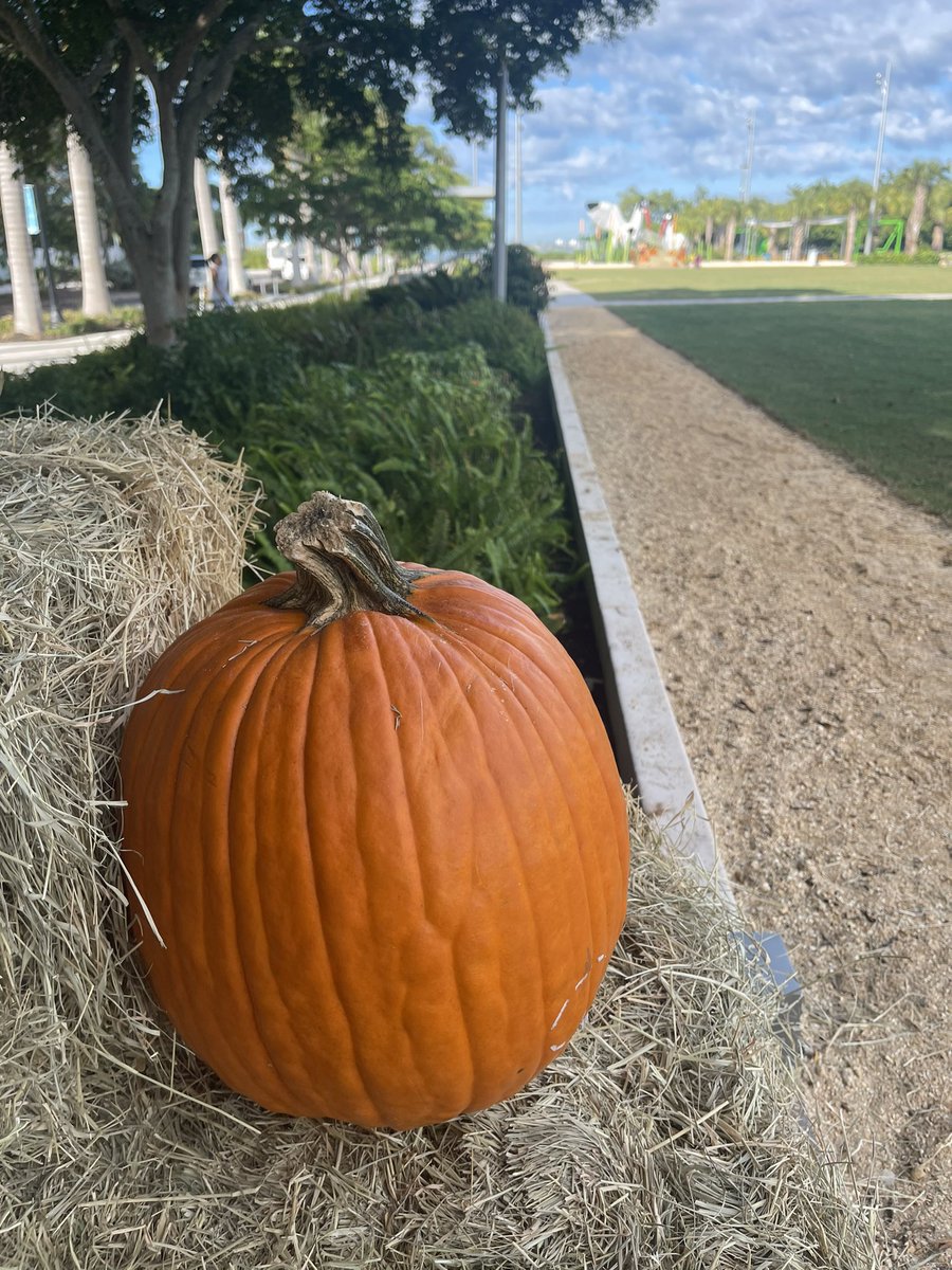 All five Sarasota foundations have made major investments in <a href="/thebaysarasota/">The Bay Sarasota</a> since the planning stages. Today, we join all in celebrating “The Bay Turns One!” Congratulations to the amazing staff and board, donors, volunteers &amp; leaders in making this One Park for All. 🦋