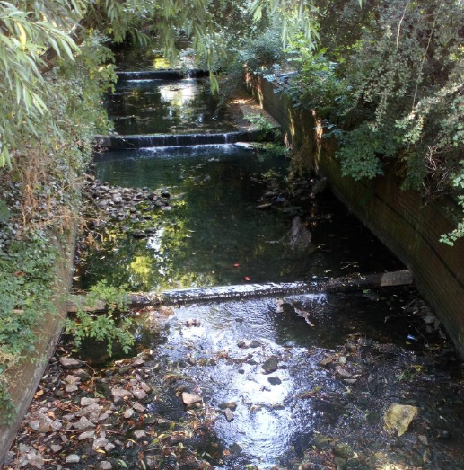 The #wealdstonebrook WQ working group met this week to plan and review progress on restoring the health of this heavily polluted river through better monitoring and improving infrastructure and habitat. Lots to do but good to see everyone working together for a better future.
