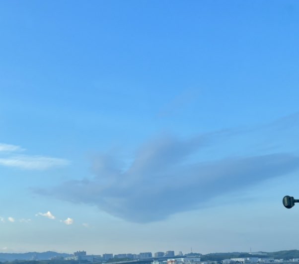 TORA42922780's tweet photo. 空を飛んでいる
鳩の雲が撮れました🐦 https://t.co/i6O8zwJlWw