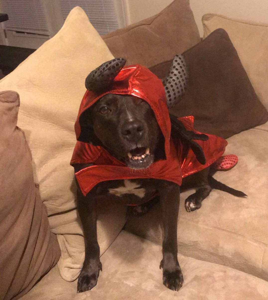 Kate Forrest (Tiffner) tweet media