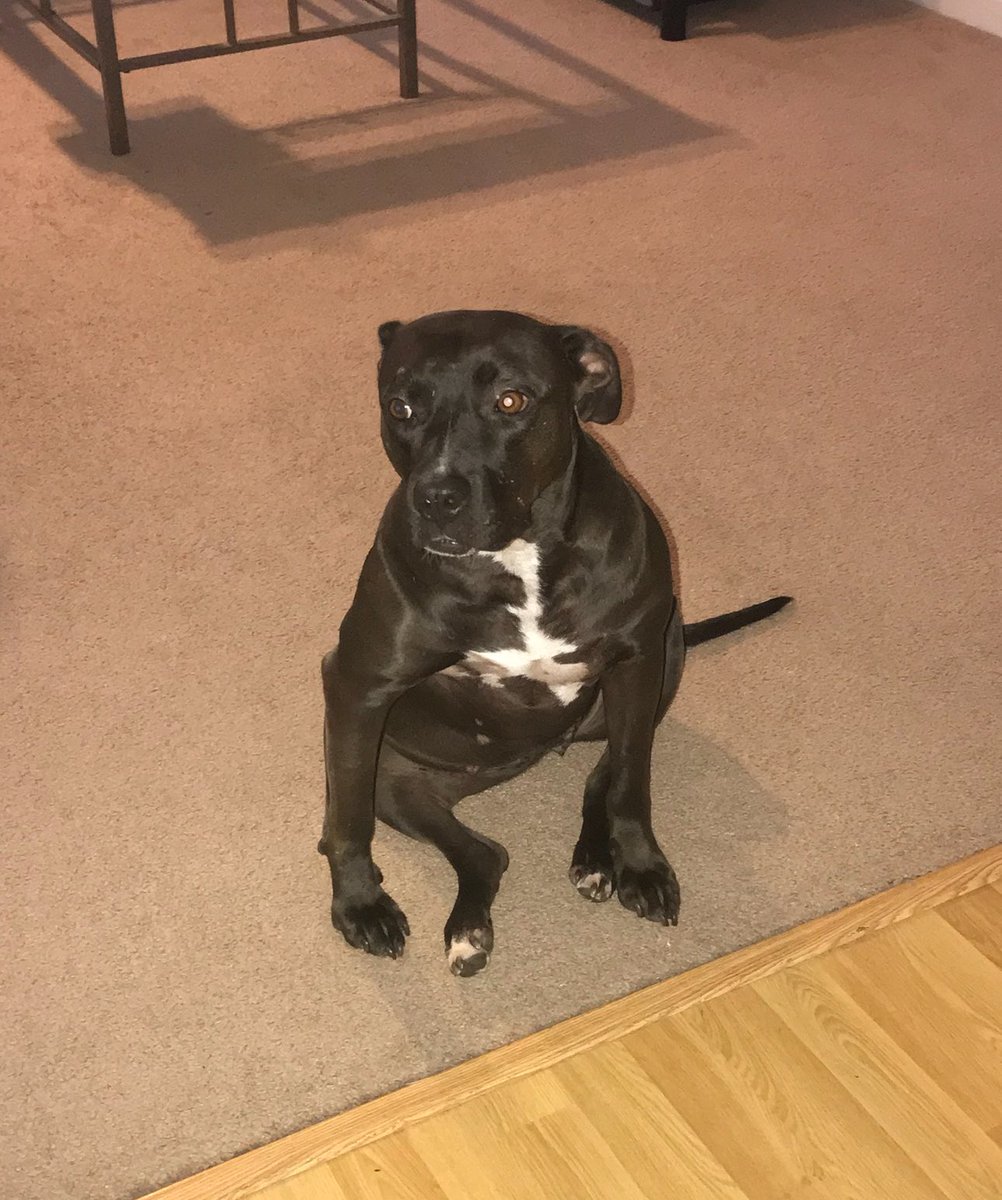 Kate Forrest (Tiffner) tweet media