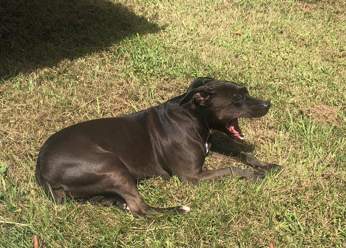 Kate Forrest (Tiffner) tweet media