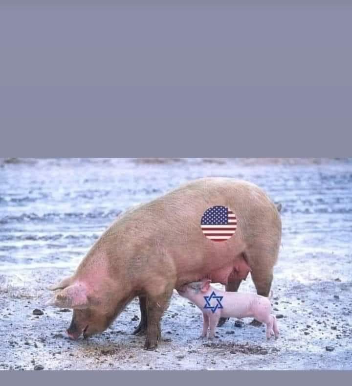 <a href="/EdyCohen/">إيدي كوهين אדי כהן 🇮🇱</a>