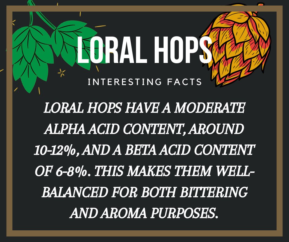 🍻🌼 Loral hops: Tradition meets innovation in craft beer. Versatile, flavorful, and steeped in heritage. Brew with Loral for a unique beer experience! #LoralHops #CraftBeer #BrewingMagic