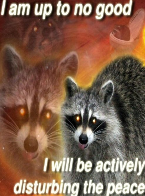 / despite the looks 

The account ain't lewd focused, it'll happen but scarcely.