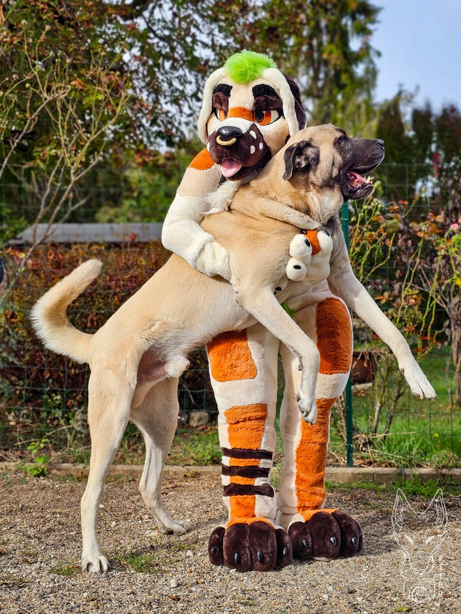 Bork bork ! And bork bork !
<a href="/Meoxie/">Max / Meoxie</a> and Pooky 💚
#FursuitsFriday