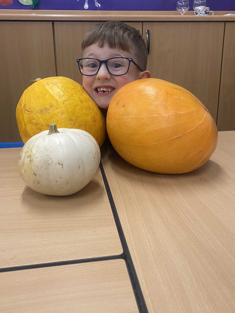 mrs_mcclare's tweet image. Congratulations to our pumpkin raffle winners. A great haul Class 6! Pumpkins galore! 🎃 Have a great half-term break everyone! @RedscopeSchool @LisaSigsworth