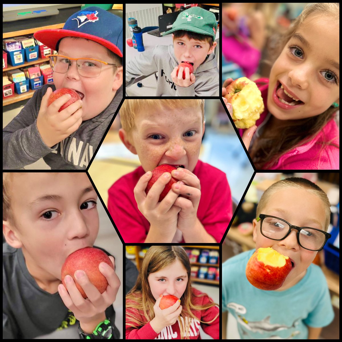 Brigden Public School tweet media