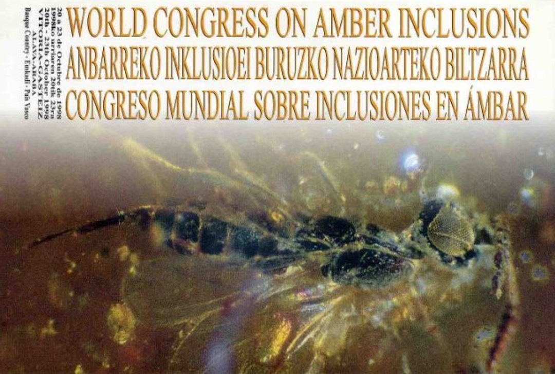 Today, 25 years ago, a historic event took place that started a boom on the global study of amber!

We want to commemorate the 1st World Congress on Amber Inclusions celebrated in Vitoria-Gasteiz, Spain, in 1998, with some photos of the event.