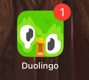 LittleBeebo's tweet photo. @duolingo Everything good? lol https://t.co/oFQbwKCpLb