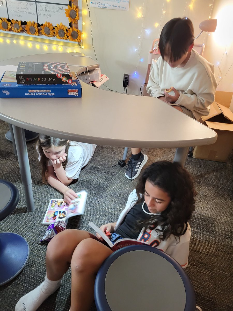 Kristi Shepherd tweet media