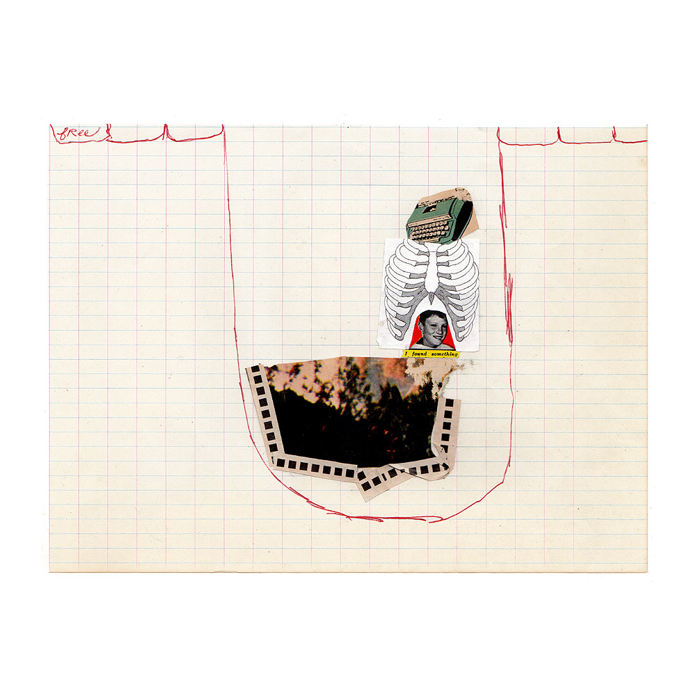 fred free tweet media